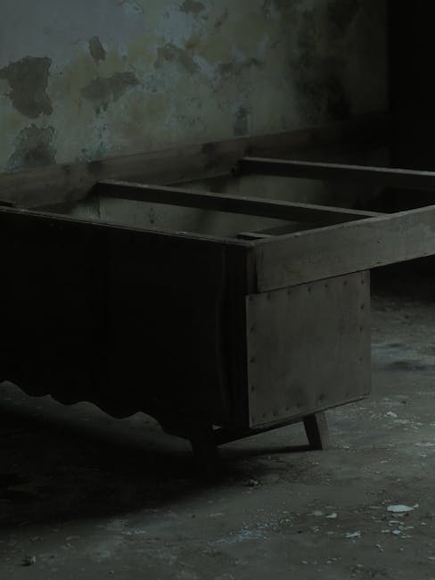 A large, empty metal display case with glass front panels, situated on a concrete floor inside a dimly lit, weathered room with peeling paint on the walls. The display case is positioned near a wall a